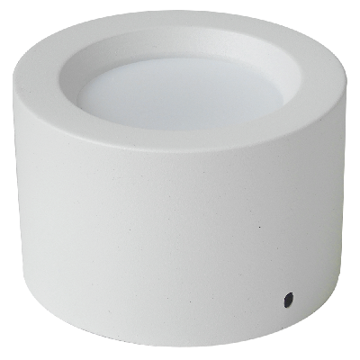 B69 surface mounted downlight